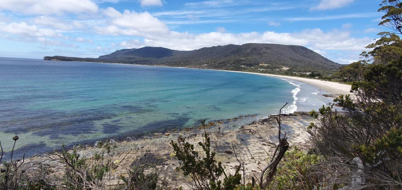 Ruby'S Cottage Farm Stay Port Arthur Bagian luar foto