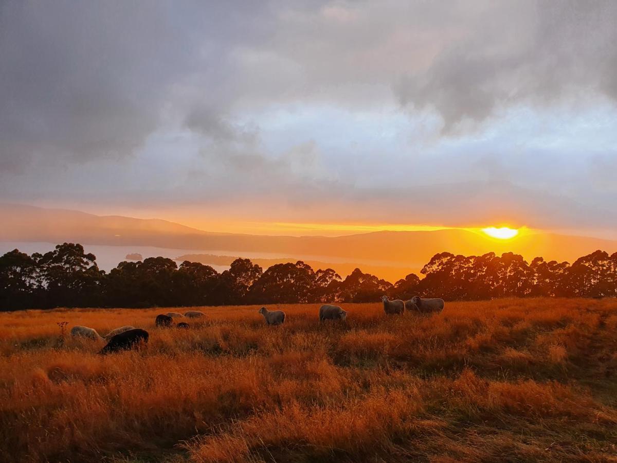 Ruby'S Cottage Farm Stay Port Arthur Bagian luar foto