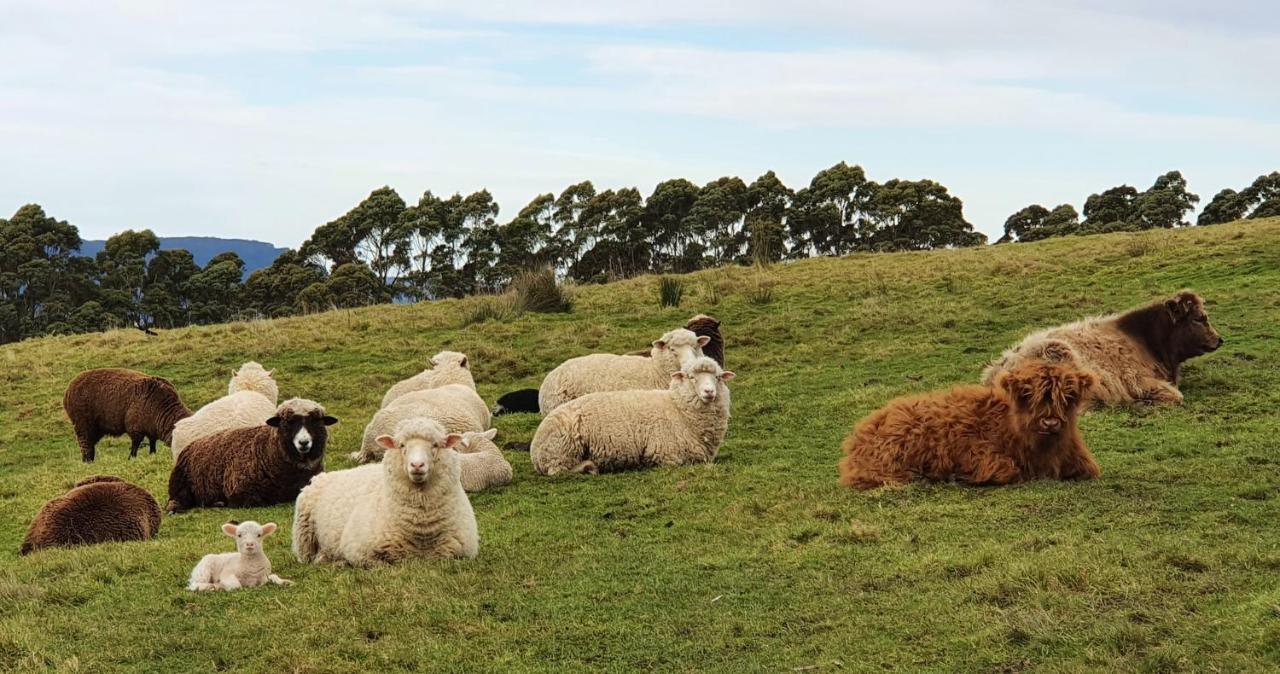Ruby'S Cottage Farm Stay Port Arthur Bagian luar foto
