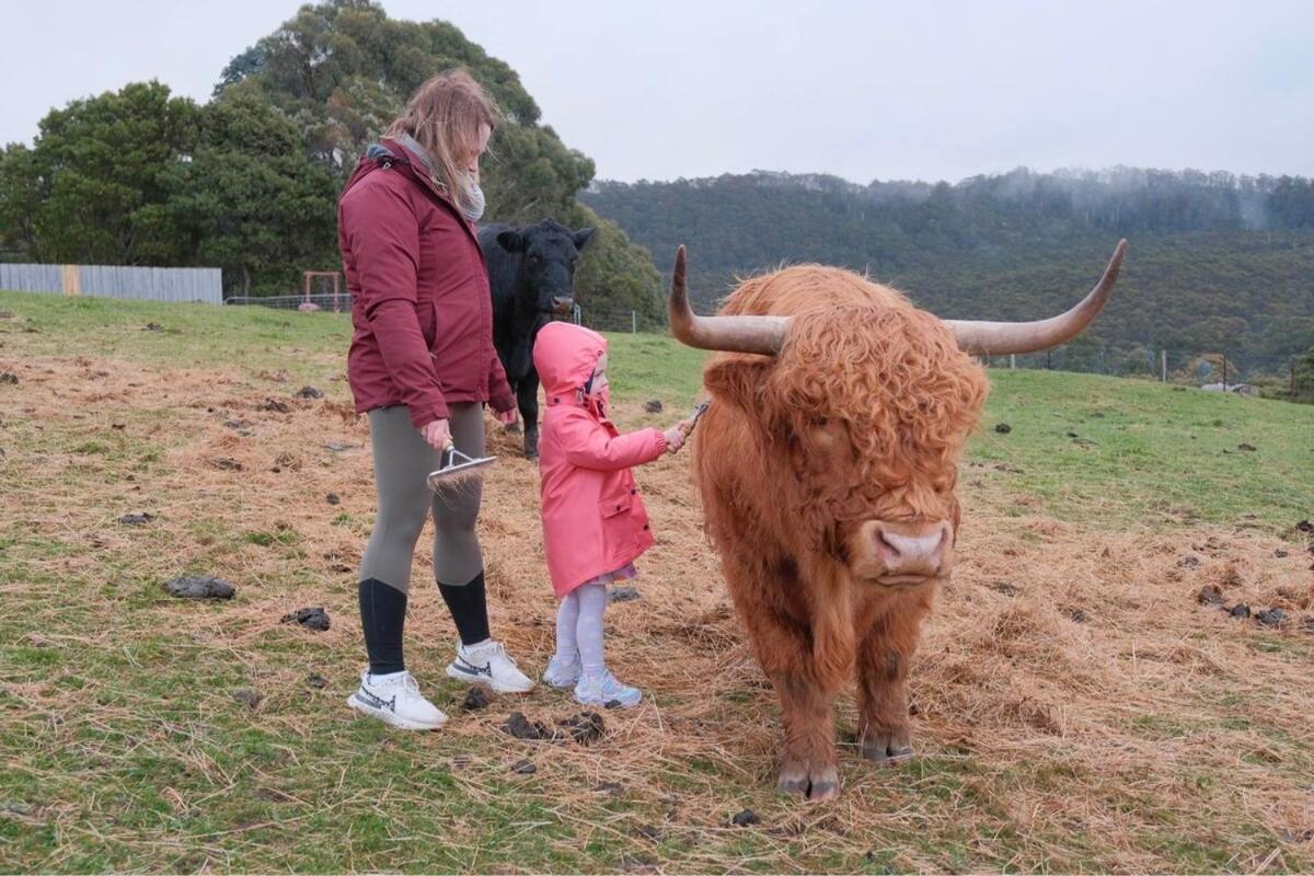 Ruby'S Cottage Farm Stay Port Arthur Bagian luar foto
